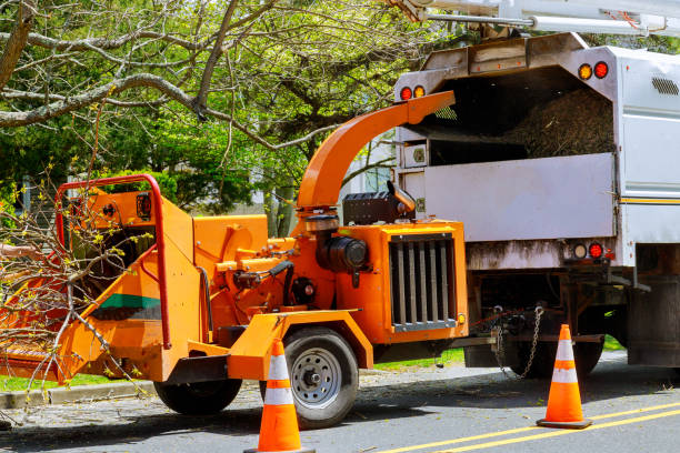 Trusted Boscobel, WI Tree Removal and Landscaping Services Experts